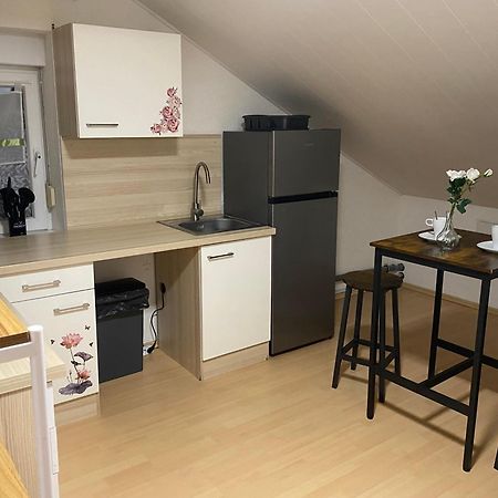 Deluxe Business Suite Mit Netflix Premium & Parkplatz, Zentral Zu Audi & Schwarz Gruppe With 2 Bedrooms Бад-Фридрихсхалль Экстерьер фото