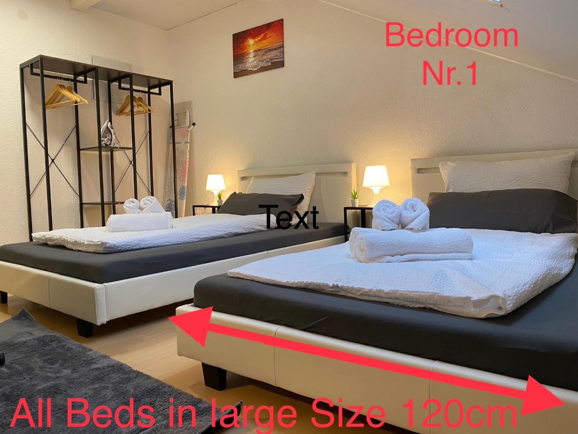 Deluxe Business Suite Mit Netflix Premium & Parkplatz, Zentral Zu Audi & Schwarz Gruppe With 2 Bedrooms Бад-Фридрихсхалль Экстерьер фото
